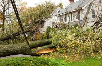 Storm damage restoration in Holly Park by A.S.A.P Restoration & Remodeling